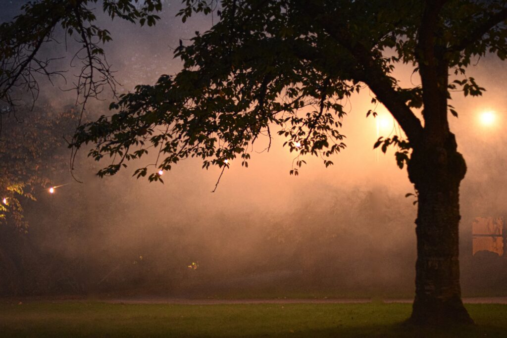 夜のミスト演出イメージ ミスト施工のINSECT
