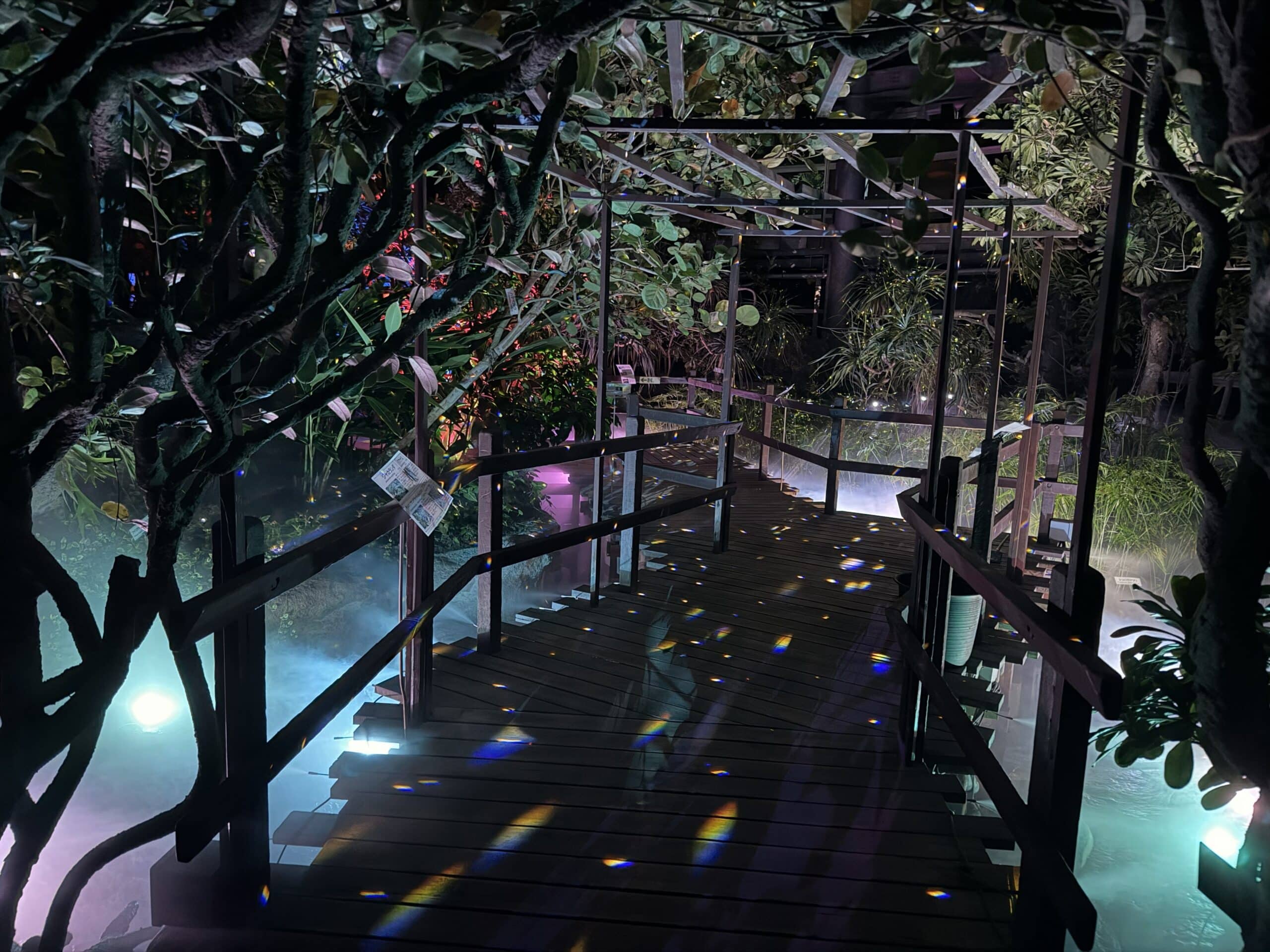 光や音と融合するミスト演出 INSECTのミスト施工事例