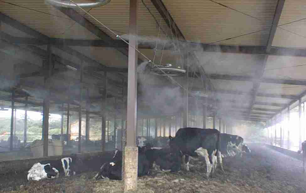農業畜産牛舎のミスト施工事例 INSECT株式会社